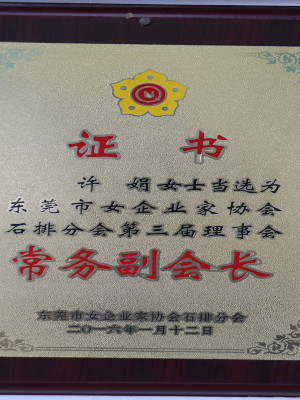 常務(wù)副會長