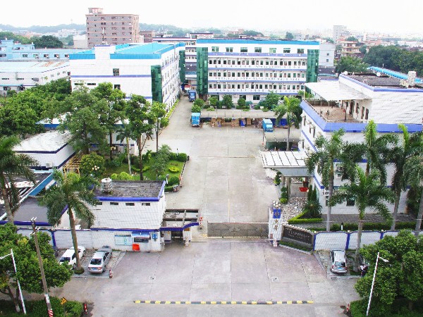 東莞立新-幸福家庭｜持續(xù)學(xué)習(xí)，收獲成長